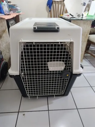 Casa para cachorro