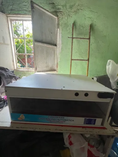 Vendo chocadeira 100 ovos