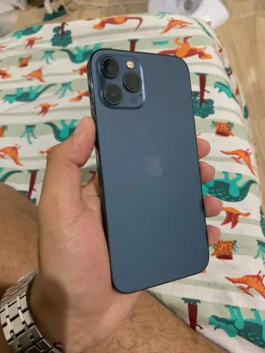 IPHONE 12 PRO MAX