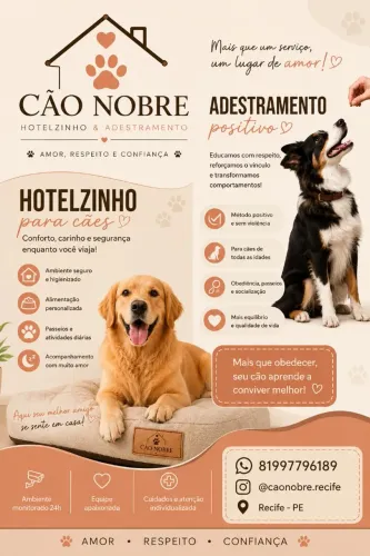 Adestramento e hotelzinho