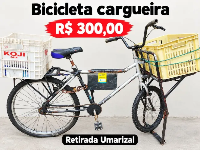 Bicicleta cargueira
