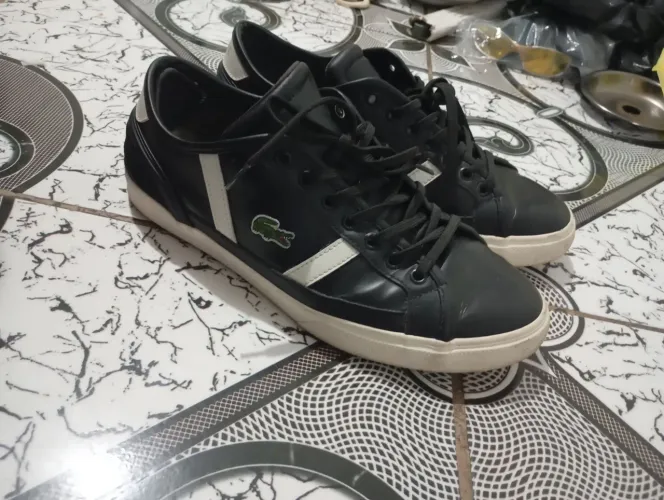 Tênis Lacoste original nmr 41