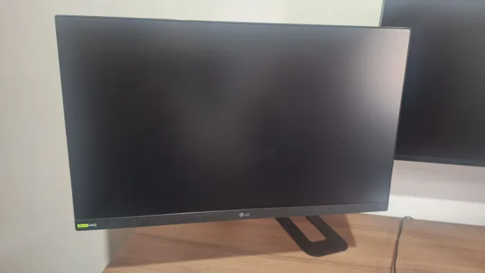 Monitor LG ultragear