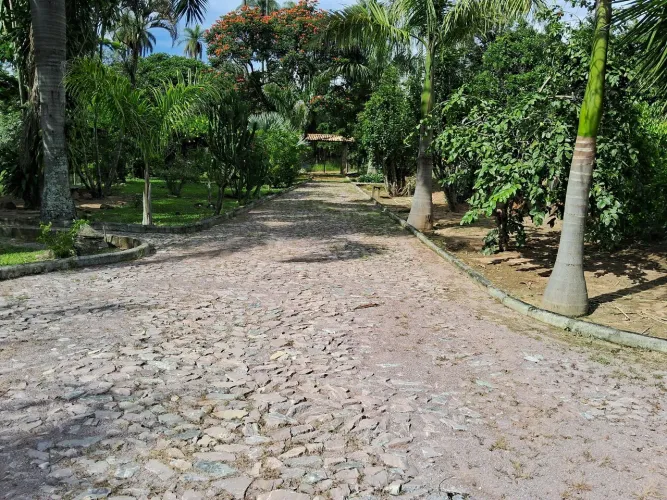 Fazenda 67 hectares 60 km do Ceasa 