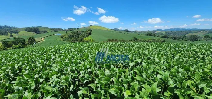 Sítio à Venda em Campo Magro/PR 14,4 Alqueires com Excelente Potencial Produtivo R$2.590.