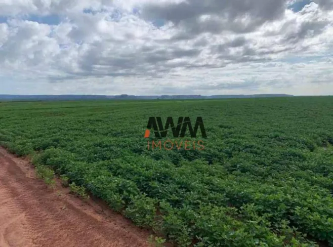 Fazenda à venda, m² por R$ 160.000.000,00 - Cajueiro - Balsas/MA