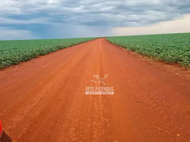 Imóvel para venda possui 16214000 metros quadrados em Vila Santa Catarina - Dourados - MS