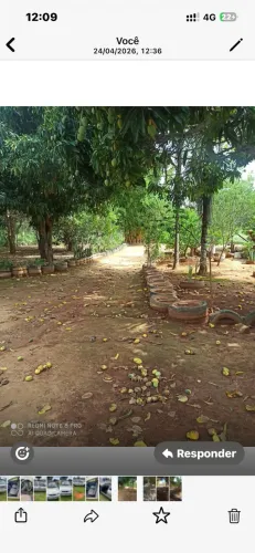 Chácara a venda 8 hectares