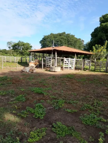 Fazendinha Região da Pecuária 22 Alqueires 50 minutos Montes claros 939.900.00.