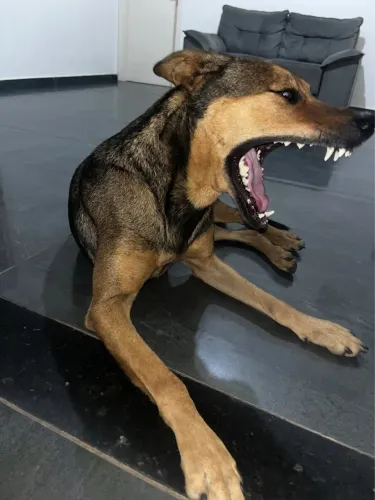 Doação