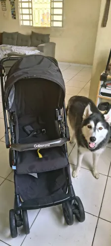 Carrinho de Bebê Burigotto.