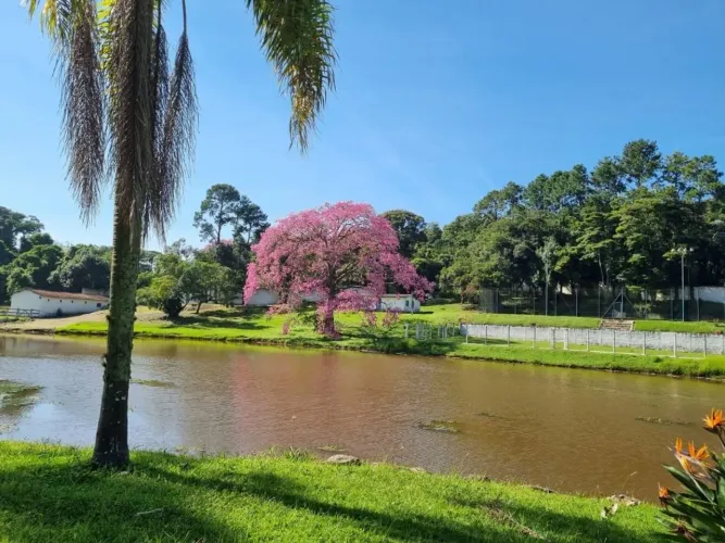 Área à venda, 78622 m² por R$ 10.100.000,00 - Caucaia do Alto - Cotia/SP