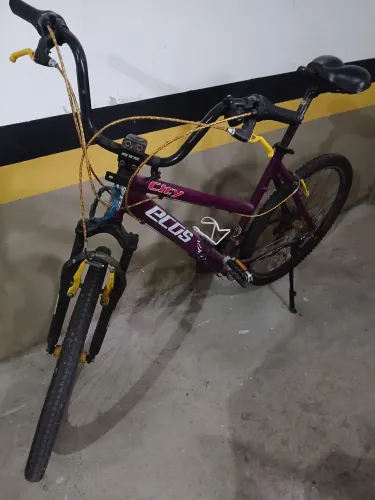 Bicicleta eco City