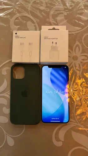 iPhone 12 impecável