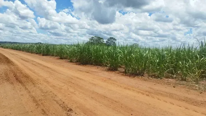 CANA ALTO ALEGRE - Área Rural 9.58 Alqueires - Nossa Senhora das Graças - PR