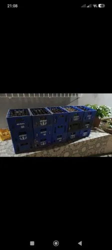 Vendo engradados com vasilhame 300 ml profissa