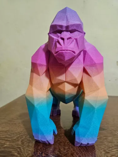 MACACO 3D