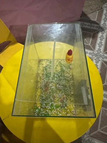 Aquário 60L
