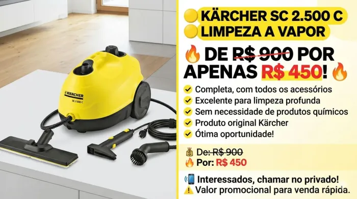 Limpador a vapor