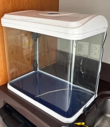 Aquário Sobo 83L com Led e Filtro (e Bônus!)