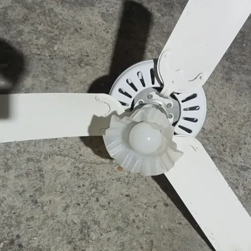 Ventilador de teto com lapada