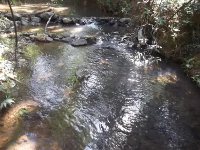 Chácara de 5.000m² com córrego de águas cristalinas, Jaboticatubas (Temos varias opções).