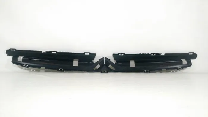 Grade Frontal Citroen Xsara Picasso 2008