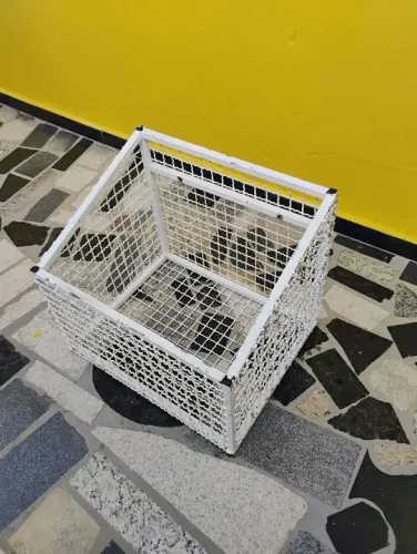 Lixeira pra parede ou muro