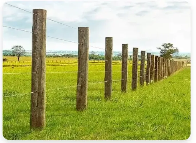 Estaca de EUCALIPTO TRATADO - Passa e Fica/RN