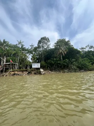Terreno na ilha do Combu