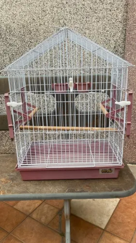 Gaiola Pet Piu para calopsita com acessórios