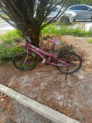 Bicicleta Infantil Aro 20 Rosa ?