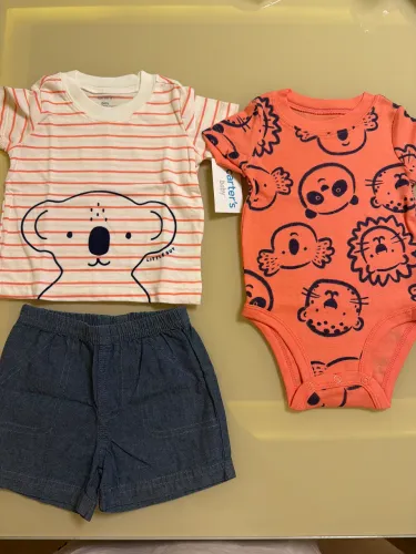 NOVO Conjunto Carters