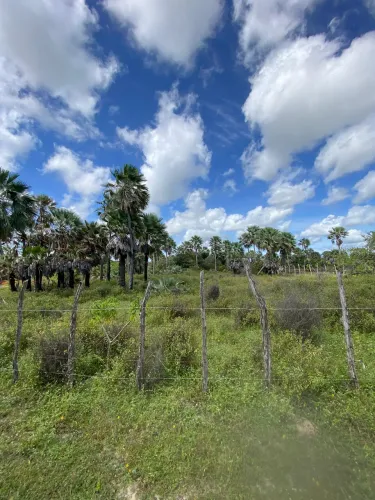 VENDE-SE TERRENO BARRA GRANDE/BARRINHA PI