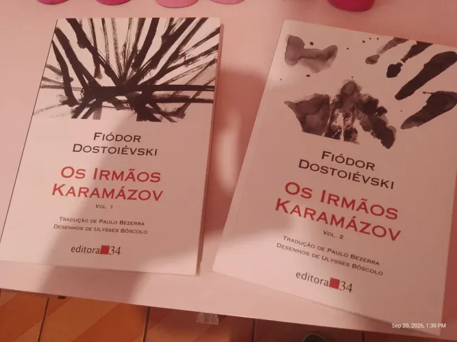 Livro os Irmãos Karamazov em dois volumes