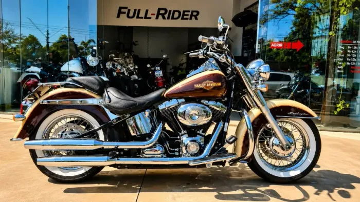 Harley-Davidson FLSTN Softail Deluxe 2014
