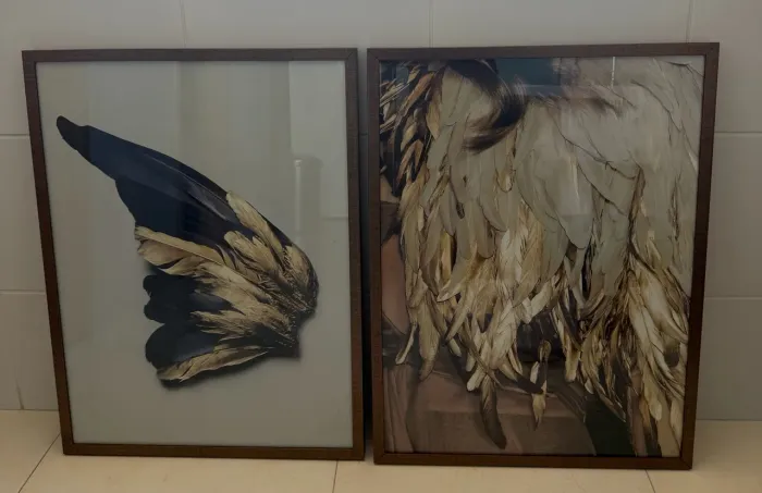Vendo QUADROS!