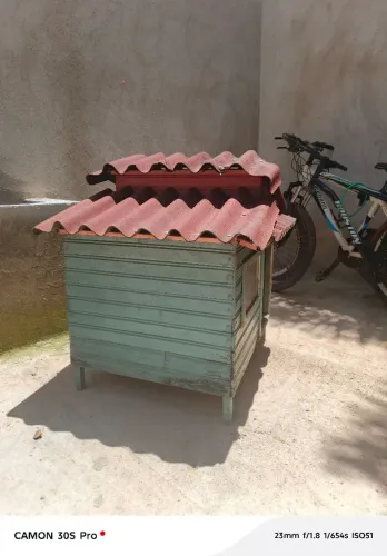 Casa para cachorro pequeno porte