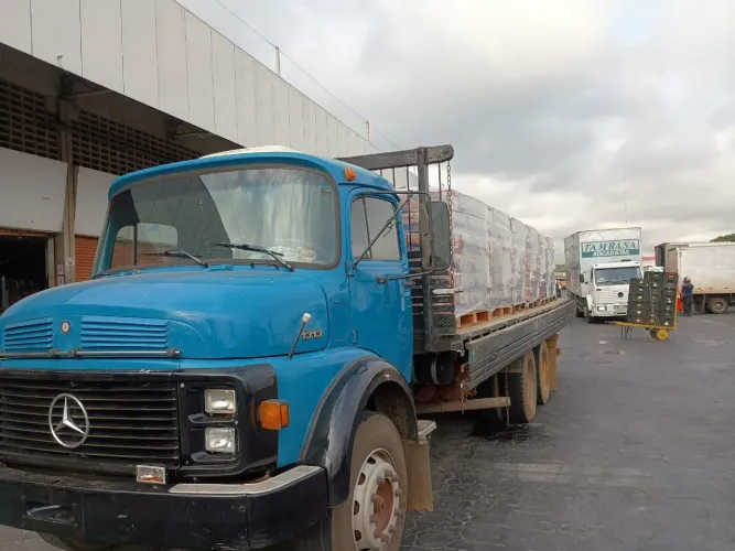 Vendo caminhão 1313 1978