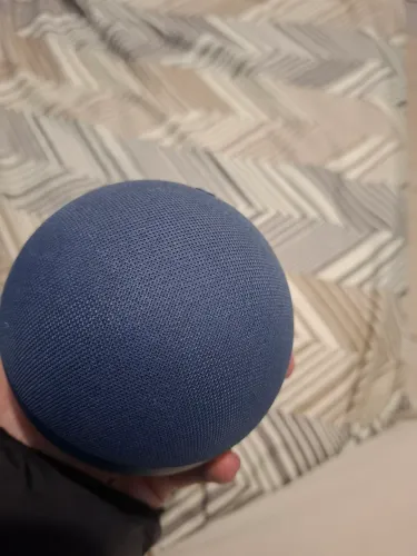Alexa