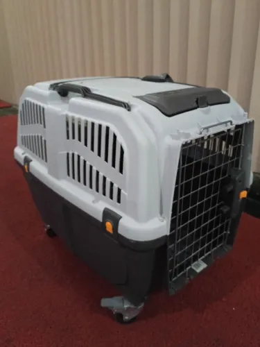 Caixa de transporte para pet