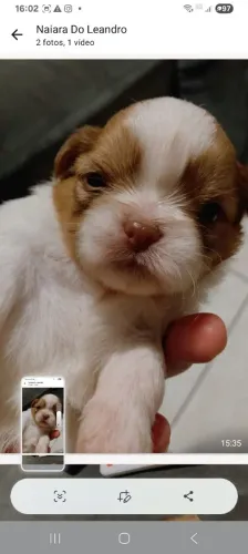 Linda menina