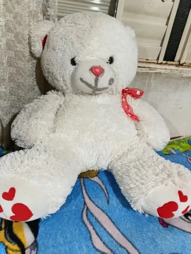 Urso grande fofo
