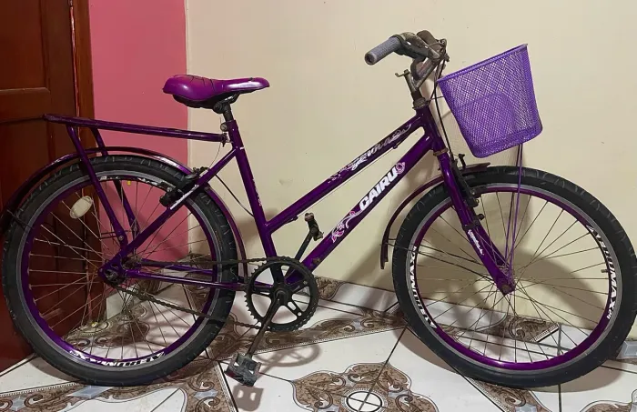 Bicicleta aro 24