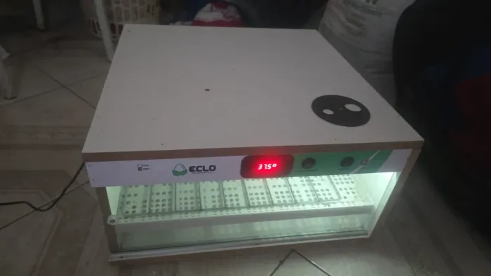 Chocadeira automática 90 ovos