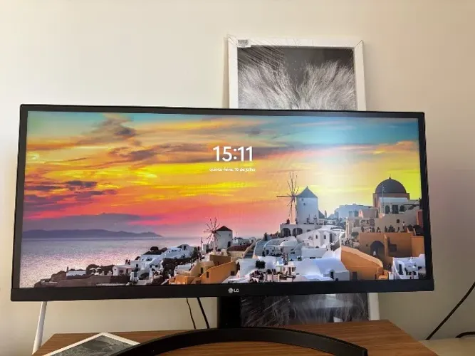 Monitor LG 29 Ultrawide IPS Full HD 75Hz - Excelente Estado