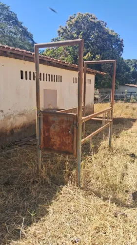 Tronco de Contenção para Cavalos