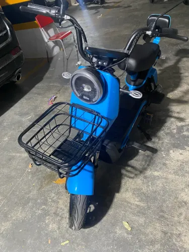 Moto eletrica