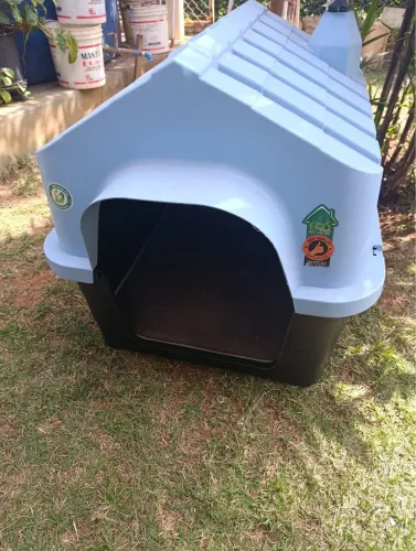 Casinha Cachorro N6