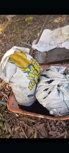 Vendo terra preta